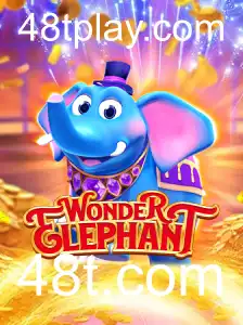 Explorando o Fascinante Mundo de WonderElephant
